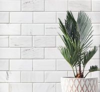 Товар: Мозаика Starmosaic Wild Stone Green Marble 23x23 арт-JMST2502 - фото 7 Мозаика Starmosaic Wild Stone Green Marble 23x23 арт-JMST2502 — фото 7, Мозаика