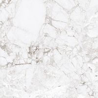 Керамогранит Absolut Gres Rossalia Natural gloss арт-AB1208G — фото 9, Керамогранит