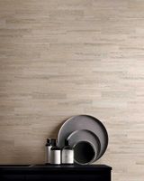 Керамогранит Sant Agostino Tipos Bone 3060 арт-CSATIPBO30 — фото 8, Керамогранит