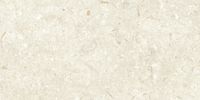 Керамогранит Grespania Fosil Bone Rec арт-46F232R — фото 8, Керамогранит