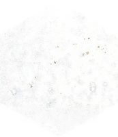 Керамогранит Edimax Astor Home Whitepastel арт-B260 — фото 1, Керамогранит