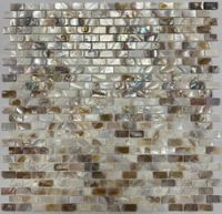 Мозаика Pixel mosaic Перламутр арт-PIX771 — фото 1, Мозаика