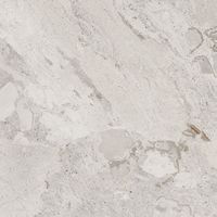 Товар: Керамогранит Cerdomus Karnis Silver Levigato арт-93530 - фото 3 Керамогранит Cerdomus Karnis Silver Levigato арт-93530 — фото 3, Керамогранит