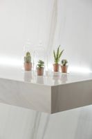 Товар: Керамогранит Ariostea Ultra Marmi Bianco Covelano Lucidato Shiny 6mm арт-UM6L300480 - фото 2 Керамогранит Ariostea Ultra Marmi Bianco Covelano Lucidato Shiny 6mm арт-UM6L300480 — фото 2, Керамогранит