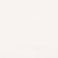 Товар: Керамогранит Casalgrande Padana Unicolore Technic Levigato Bianco Assoluto 8mm арт-707018 - фото 1 Керамогранит Casalgrande Padana Unicolore Technic Levigato Bianco Assoluto 8mm арт-707018 — фото 1, Керамогранит