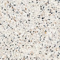 Товар: Керамогранит Mirage Viceversa Veneziano VV 20 SP арт-BEX0 - фото 1 Керамогранит Mirage Viceversa Veneziano VV 20 SP арт-BEX0 — фото 1, Керамогранит