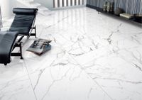 Керамогранит Ocean Ceramic 60x120 Statuario Orindo арт-OC0000213 — фото 5, Керамогранит