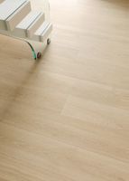 Керамогранит Imola ceramica Elixir Elxr6549PaRm арт-ELXR6 549PA RM — фото 11, Керамогранит