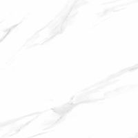 Керамогранит Pardis Ceramic Pazh Керамогранит Watson арт-P166531 — фото 4, Керамогранит