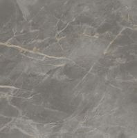 Керамогранит Atlas Concorde Italy Marvel X Fior di Bosco Silk арт-AFVN — фото 15, Керамогранит