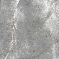 Керамогранит Absolut Gres Gia gloss арт-AB1209G — фото 11, Керамогранит