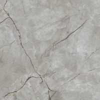 Товар: Керамогранит Eurotile Kanpur Matt арт-7930138704859 - фото 6 Керамогранит Eurotile Kanpur Matt арт-7930138704859 — фото 6, Керамогранит