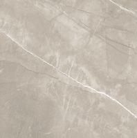 Керамогранит NS Ceramic Керамогранит с Эффектом Камня Grey Brown арт-NSC8039 — фото 1, Керамогранит