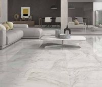 Керамогранит Pamesa Pompei Blanco арт-017.250.0012.09395 — фото 3, Керамогранит