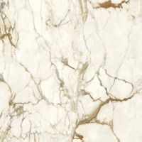 Керамогранит Ariostea Ultra Marmi Fior Di Bosco Natural 6mm арт-UM6S120575 — фото 1, Керамогранит