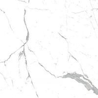 Товар: Напольная плитка Eurotile Statuario арт-3 SR 0005 - фото 5 Напольная плитка Eurotile Statuario арт-3 SR 0005 — фото 5, Напольная плитка