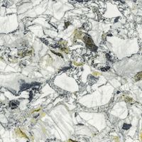 Керамогранит Atlas Concorde Russia Forte Dei Marmi Quark Ceppo Apuano Forest Lapp Ret арт-610015000703 — фото 2, Керамогранит