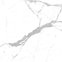 Товар: Напольная плитка Eurotile Statuario арт-3 SR 0005 - фото 9 Напольная плитка Eurotile Statuario арт-3 SR 0005 — фото 9, Напольная плитка