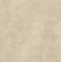 Керамогранит Atlas Concorde Italy Boost Expression Tan Matt Ret арт-AYUA — фото 2, Керамогранит