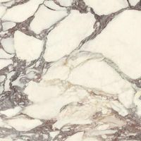 Керамогранит Ariostea Marmi Classici Calacatta Viola Natural 8mm арт-P6671 — фото 1, Керамогранит