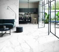 Керамогранит Arcadia Ceramica Paradise Statuario арт-GI8005-A — фото 7, Керамогранит