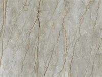 Керамогранит Zodiac Ceramica Forest Wild Matt арт-MN327AY281206 — фото 1, Керамогранит