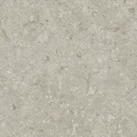 Керамогранит Grespania Fosil Gris Rec арт-82F265R — фото 3, Керамогранит