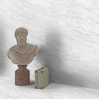 Керамогранит NT Ceramic Infinity Frozen Lake Matt арт-NTTHS99812M — фото 9, Керамогранит