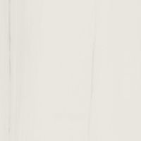 Керамогранит Refin Prestigio Dolomite Soft R арт-MV78 — фото 1, Керамогранит