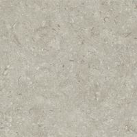 Керамогранит Grespania Fosil Gris Rec арт-81F266R — фото 9, Керамогранит