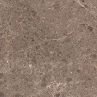 Керамогранит Grespania Artic Moka Nat арт-81RC-26 — фото 5, Керамогранит