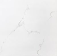 Керамогранит Sina Tile Versace White Polished арт-2881 — фото 5, Керамогранит