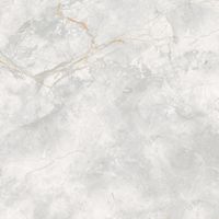 Керамогранит Pardis Ceramic Pazh Elison Polished арт-166687 — фото 5, Керамогранит