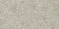 Товар: Керамогранит Grespania Fosil Gris Rec арт-46F262R - фото 8 Керамогранит Grespania Fosil Gris Rec арт-46F262R — фото 8, Керамогранит