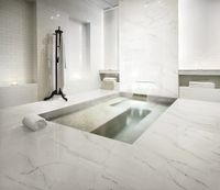 Керамогранит Ariostea Marmi Classici Patagonia Top Lapped 8mm арт-PLP6691 — фото 14, Керамогранит