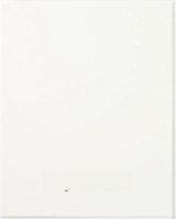 Настенная плитка Domino Ceramika Select Fiesta White арт-5907602112153 — фото 1, Настенная плитка