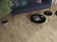 Керамогранит Cersanit Patinawood Светло-бежевый арт-C-PT4M302D — фото 6, Керамогранит