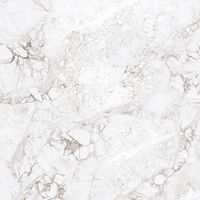 Керамогранит Absolut Gres Rossalia Natural gloss арт-AB1208G — фото 2, Керамогранит