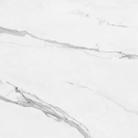 Товар: Керамогранит Pamesa Cr Cellini M Blanco Compacglass 60 арт-017.840.0012.10091 - фото 3 Керамогранит Pamesa Cr Cellini M Blanco Compacglass 60 арт-017.840.0012.10091 — фото 3, Керамогранит