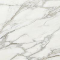 Керамогранит Laparet Angel Blanco полированный арт-SG607022R — фото 10, Керамогранит