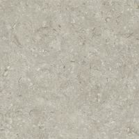 Керамогранит Grespania Fosil Gris Rec арт-82F265R — фото 9, Керамогранит