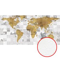 Фреска Ortograf Карты мира 30205 Фактура бархат FX Флизелин (5,5*2,7) Серый/Коричневый, Карты арт-30205 (бархат FX) — фото 1, Фрески