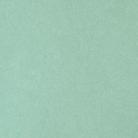 Обои Bernardo Bartalucci Legend Флизелин (1,06*10) Голубой, Однотонные арт-5068-77 — фото 1, Обои для стен