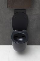 Товар: Унитаз Allen Brau Fantasy подвесной Черный матовый без сиденья арт-4.11004.31 - фото 9 Унитаз Allen Brau Fantasy подвесной Черный матовый без сиденья арт-4.11004.31 — фото 9, Подвесные унитазы