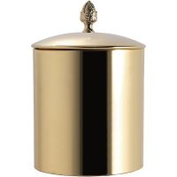 Ведро для мусора TW Золото арт-TWSSS6501ORO — фото 1, Мусорные ведра