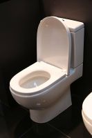 Унитаз компакт Roca Meridian без бачка и сиденья арт-342247000 — фото 4, Напольные унитазы