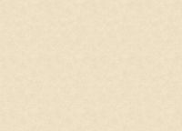 Обои Grandeco Ciara Винил на флизелине (0,53*10,05) Бежевый, Штукатурка арт-A 53702 — фото 2, Обои для стен