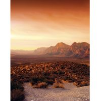 Панно Marburg Dune Винил на флизелине (2,12*2,7) Оранжевый, Пейзаж арт-32548 — фото 1, Обои для стен