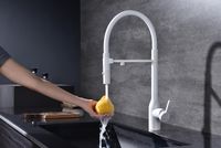 Смеситель для кухни Paulmark Magneto One Белый матовый арт-Ma213188-WH — фото 10, Смесители для кухни