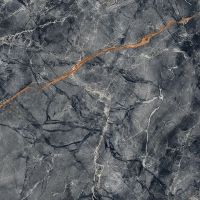 Товар: Керамогранит Primavera French Nero High Glossy 60х60 см арт-GR113 - фото 3 Керамогранит Primavera French Nero High Glossy 60х60 см арт-GR113 — фото 3, Керамогранит